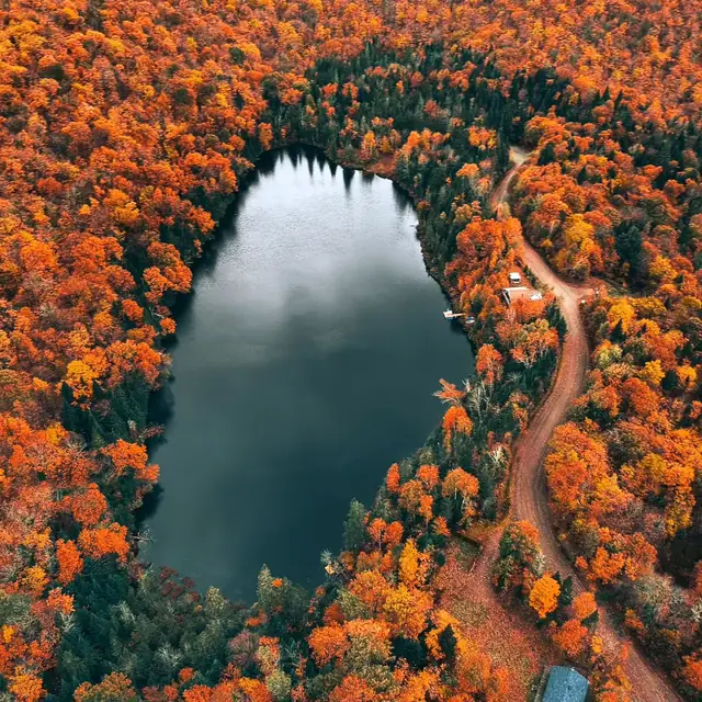 Aerial view of a small lake ringed by orange autumn forest, a dirt road curving along the far shore.